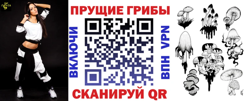 Псилоцибиновые грибы MAGIC MUSHROOMS где продают наркотики Норильск