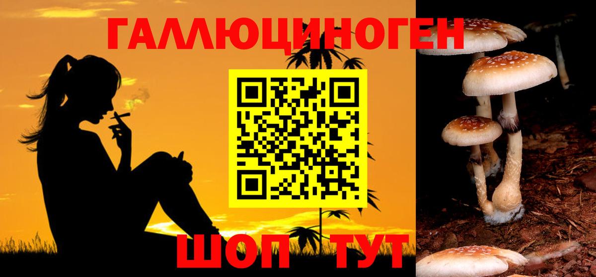 Псилоцибиновые грибы мухоморы Норильск